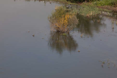 Top view of the River Douro, with grey heron in the water in Portugalの写真素材