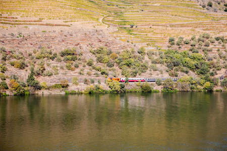 Top view of river, the hills with the "quitas" and the vineyards in the Valley of the River Douro, Portugalの写真素材