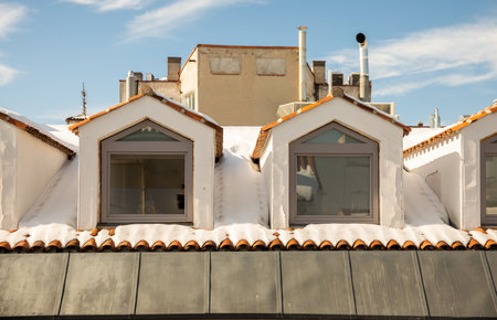 Madrid, Spain - January 12-17, 2021. View of the city center in the aftermath of the historic great snowfall in Madrid due to the storm "borrasca Filomena" in Madrid, Spain in January 2021のeditorial素材