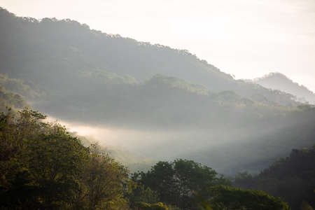 Tropical forest with trees, animals and birds in Cost Rica