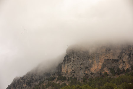 Mountain trails in the mist during winter time going from Cazorla, Jaen, Andalusia