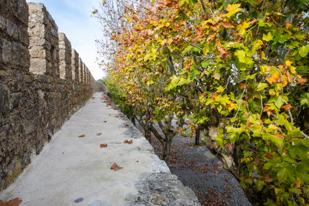 Obidos, Portugal - 2020, October 31: Architectural details of Obidos town and municipality in the Oeste region, historical province of Estremadura, former Leiria district in Portugal on October 31st, 2020のeditorial素材