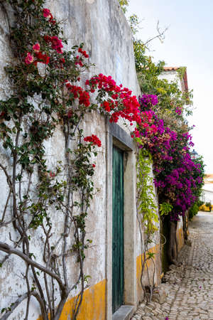 Obidos, Portugal - 2020, October 31: Architectural details of Obidos town and municipality in the Oeste region, historical province of Estremadura, former Leiria district in Portugal on October 31st, 2020のeditorial素材