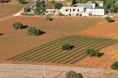 Andalusia, Spain - October 11: Architectural details of the picturesque small, quiet hilltop white villages âPueblos Blancos of Andalusiaâ, with enchanting Moorish charm in Spain, October 11th 2021のeditorial素材