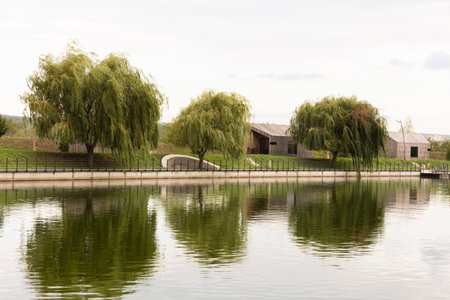 View of rural Romania, with green willows on the bank of a lake and the sky reflecting in the waterの写真素材