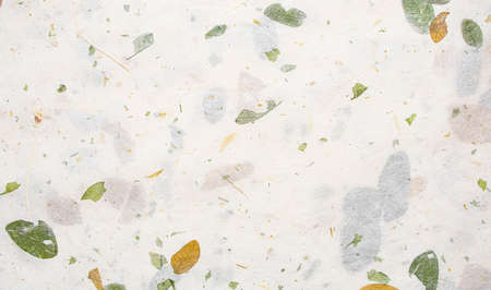 White Mulberry Paper with leaf texture background, Handmade paper horizontal with Unique design of...