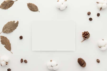 Flowers composition. paper white blank card mockup, dry leaves and cotton flowers and pine cones on white background. Flat lay, top view with copy spaceの写真素材