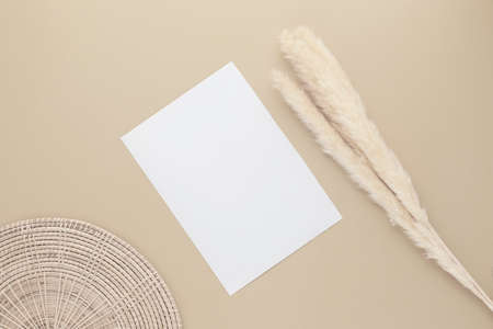 Blank white paper on beige background with reed grass flower, Beige workplace composition, flat lay,...