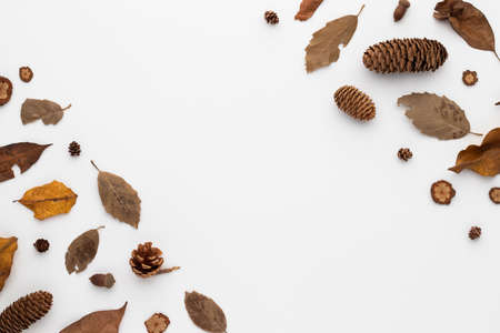 Autumn composition, dried leaves.  and pine cones on white background. Flat lay, top view with copy spaceの写真素材