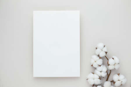 White invitation card mockup with a cotton flower on beige background, Minimal beige workplace composition, flat lay, mockupの写真素材