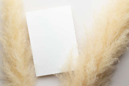 White invitation card mockup with a pampas grass on grey background, Minimal grey workplace composition, flat lay, mockupの写真素材