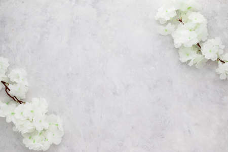 White flowers on white grunge background. Flat lay, top view with copy space, Minimalismの写真素材