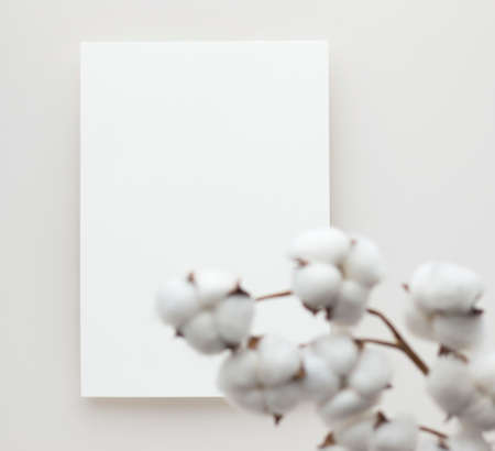 White invitation card mockup with a cotton flower on beige background, Minimal beige workplace composition, flat lay, mockupの写真素材