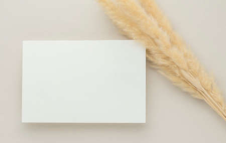 White invitation card mockup with a dried grass on beige background, Minimal beige workplace composition, flat lay, mockupの写真素材