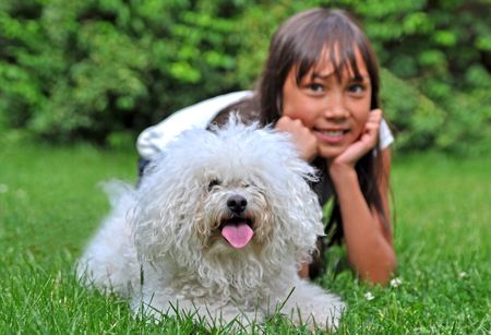 A happy girl with a small dog on the lawn. The dog is a Bichon Frisé.の写真素材