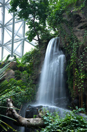 Plant shop waterfallの写真素材