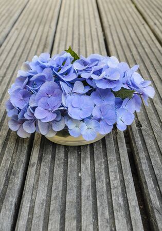 Bouquet of beautiful blue hydrangea on the gray rustic wood