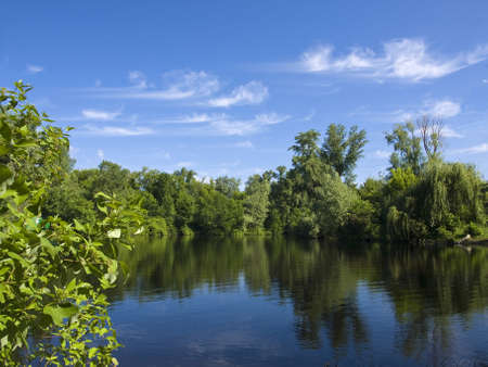 Forest Lake on a summer day. Trees suited to the water and are reflected in the lake. Small light clouds float on the sky.の写真素材
