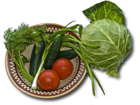 fresh vegetables in the droplets of water. In a ceramic plate are tomatoes, cucumbers, green onions, greens, cabbage headの写真素材