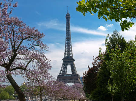 The Eiffel Tower in spring among blossoming trees. Paris, France.の写真素材