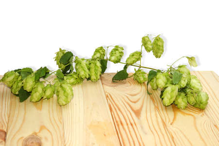 A branch of hop with cones and the leaves lying on a wooden tableの写真素材