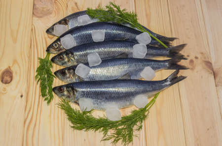 Several large atlantic herrings with ice cubes and a sprigs of dill on a wooden surfaceの写真素材