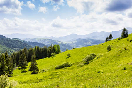 View of the mountain ranges of the Carpathians forests and mountain pastures.の写真素材