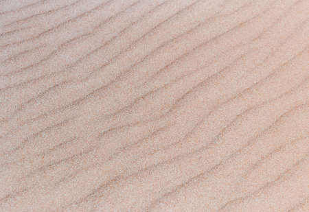 Surface yellow slightly reddish sand formed by the wind. Texture.の写真素材