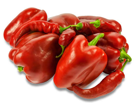 Several fresh red bell peppers and peppers chilli on a light background. Isolation.の写真素材