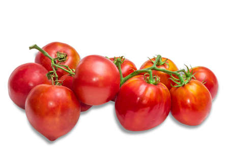 Two bunches of red-orange tomatoes on a light background. Isolation.の写真素材