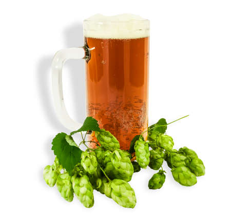 Mug with beer and branch of hop on a light background. Isolation.の写真素材