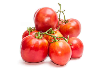 Several bunches of red-orange tomatoes on a light background. Isolation.の写真素材