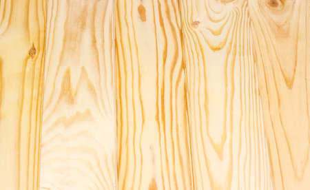 Surface from bright wooden planks from pine. Texture.の写真素材