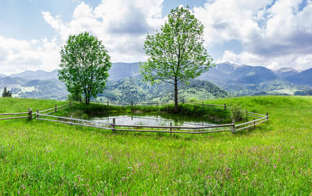 Small mountain lake on the meadow with grass and flowers and trees on the shore, fenced by wood planks against the background of a mountain rangeの写真素材