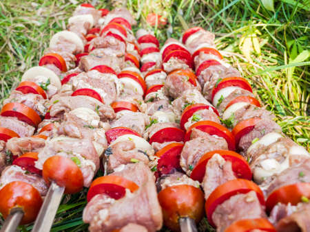 Raw meat with onions tomatoes and spices prepared for grilling closeup.の写真素材