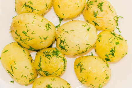 Young boiled potatoes with butter, sprinkle with chopped dill, closeupの写真素材