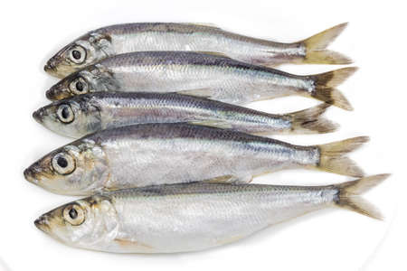 Several raw big sprats closeup on a light background. Isolation.の写真素材
