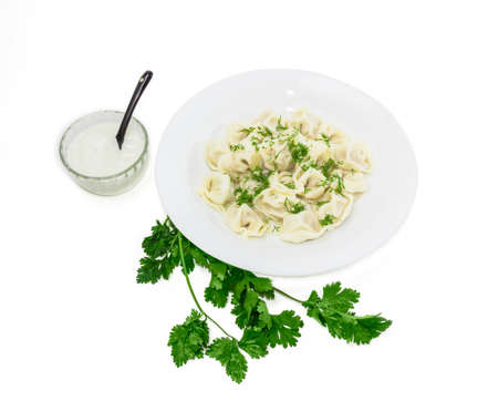 Dumplings with greens in white dish, sour cream in a round glass gravy boat with a small black ceramic spoon and a sprig of green cilantro  on a light background. Isolationの写真素材