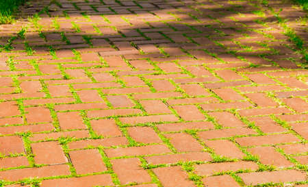 Old walkway made of red brick with sprouted grass and moss between the bricksの写真素材