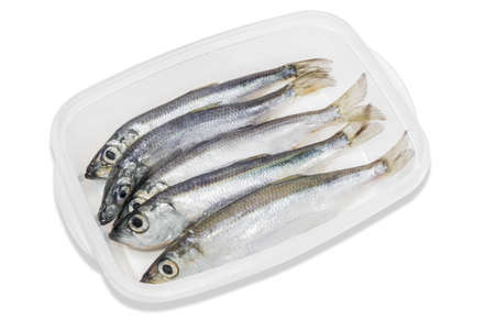 Several raw big sprats in transparent plastic tray on a light background. Isolation.の写真素材
