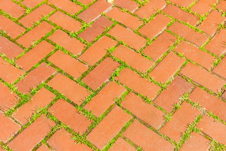 Old walkway made of red brick with sprouted grass and moss between the bricks closeupの写真素材
