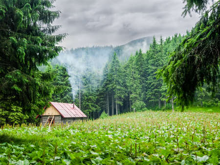 Small wooden mountain shelter in a small clearing in the forest during inclement weather. Carpathiansの写真素材