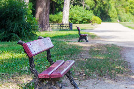 Park alley with red benches in the summer on a sunny day