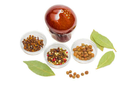 Brown ceramic pepper shaker, dried bay leaf, several peas of allspice and small glass containers with black pepper, pink peppercorn, wite pepper, allspice and clove on a light background. Isolation.の写真素材