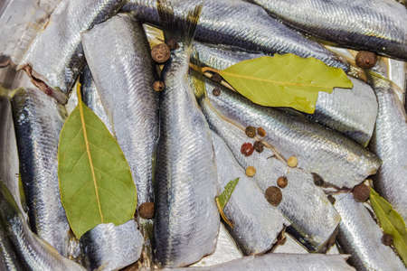 Baltic herring, purified from the head and viscera with spices, prepared for pickling closeupの写真素材