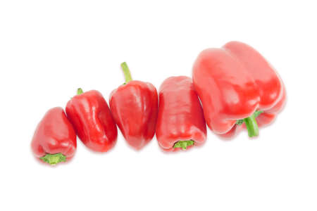 Several fresh red bell peppers different sizes on a light background. Isolation.の写真素材