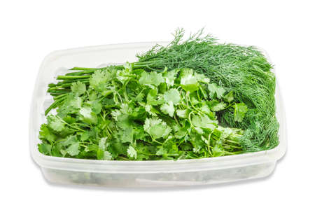 Transparent plastic tray with fresh green coriander leaves and dill on a light background. Isolation.の写真素材