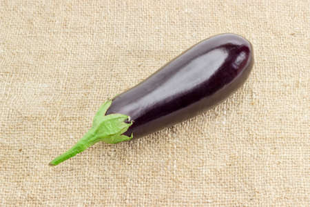 One ripe purple eggplant on a surface covered with sackclothの写真素材