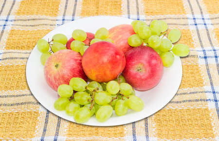 Several ripe red apples and nectarines and white table grape on a white dish on a checkered tablecloth closeupの写真素材