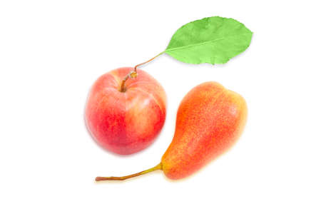Ripe red and yellow European pear and red apple with leaf on a light background. Isolation.の写真素材
